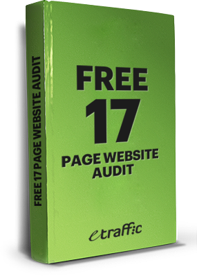 Receive a 17 page website audit